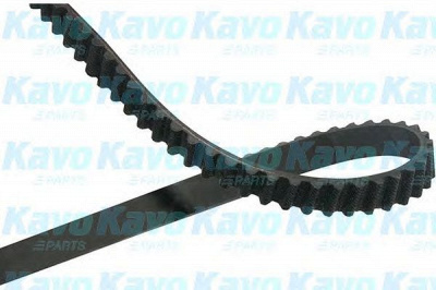 KAVO PARTS dtb4543 - Ремень ГРМ